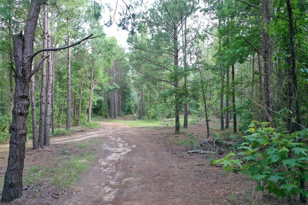 19.82 acres in ANDERSON County gallery image 2