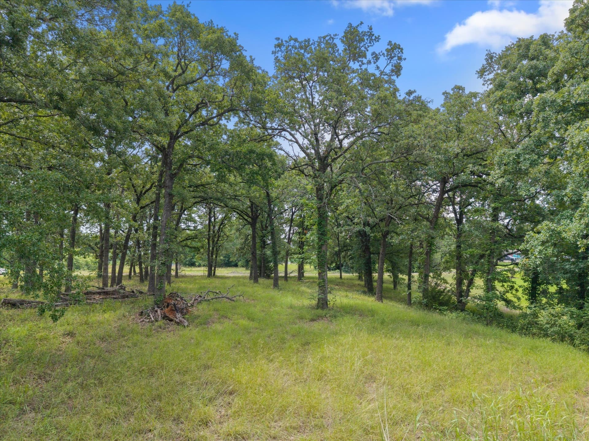 1.81 acres in Freestone County - photo 19