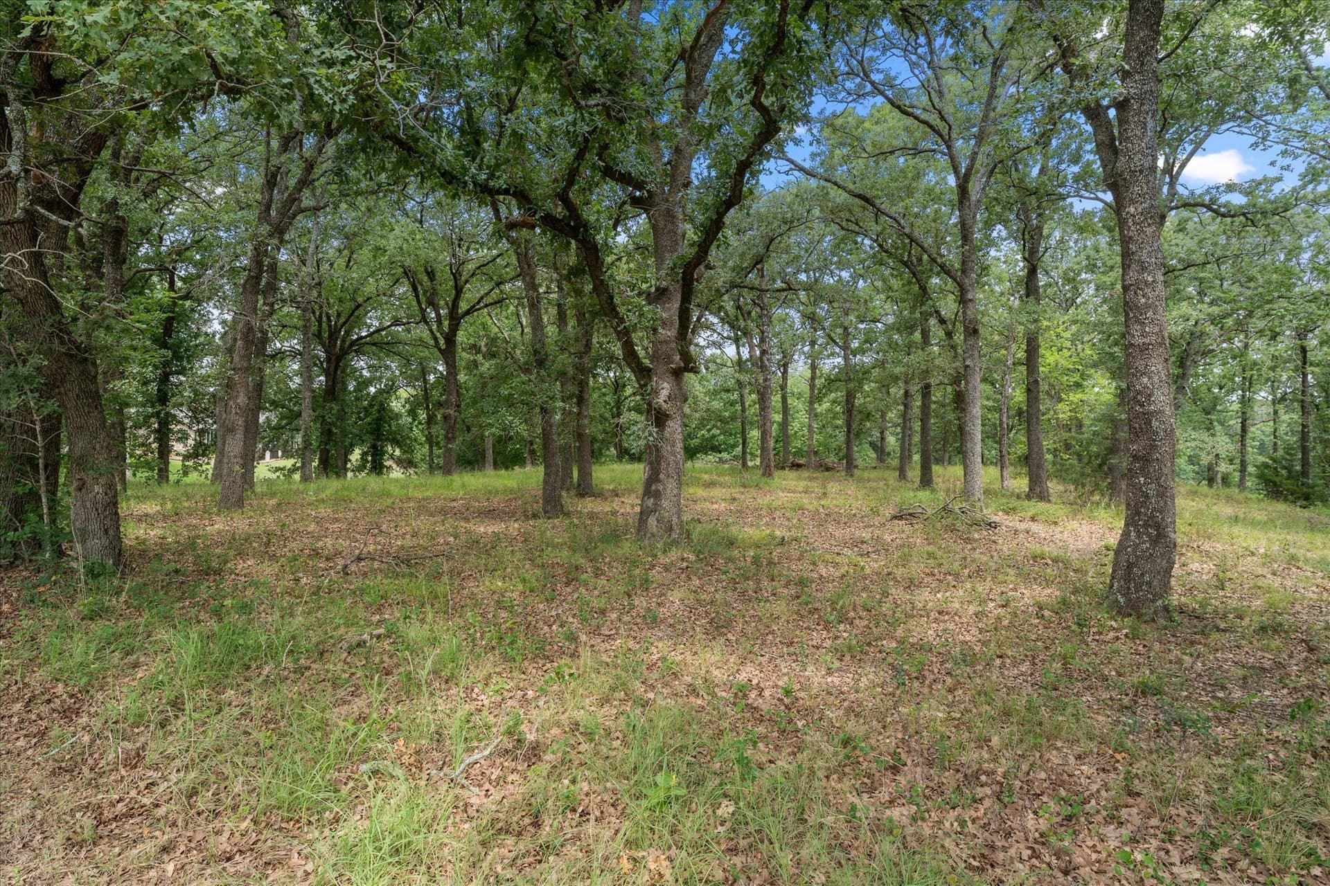 1.81 acres in Freestone County - photo 16