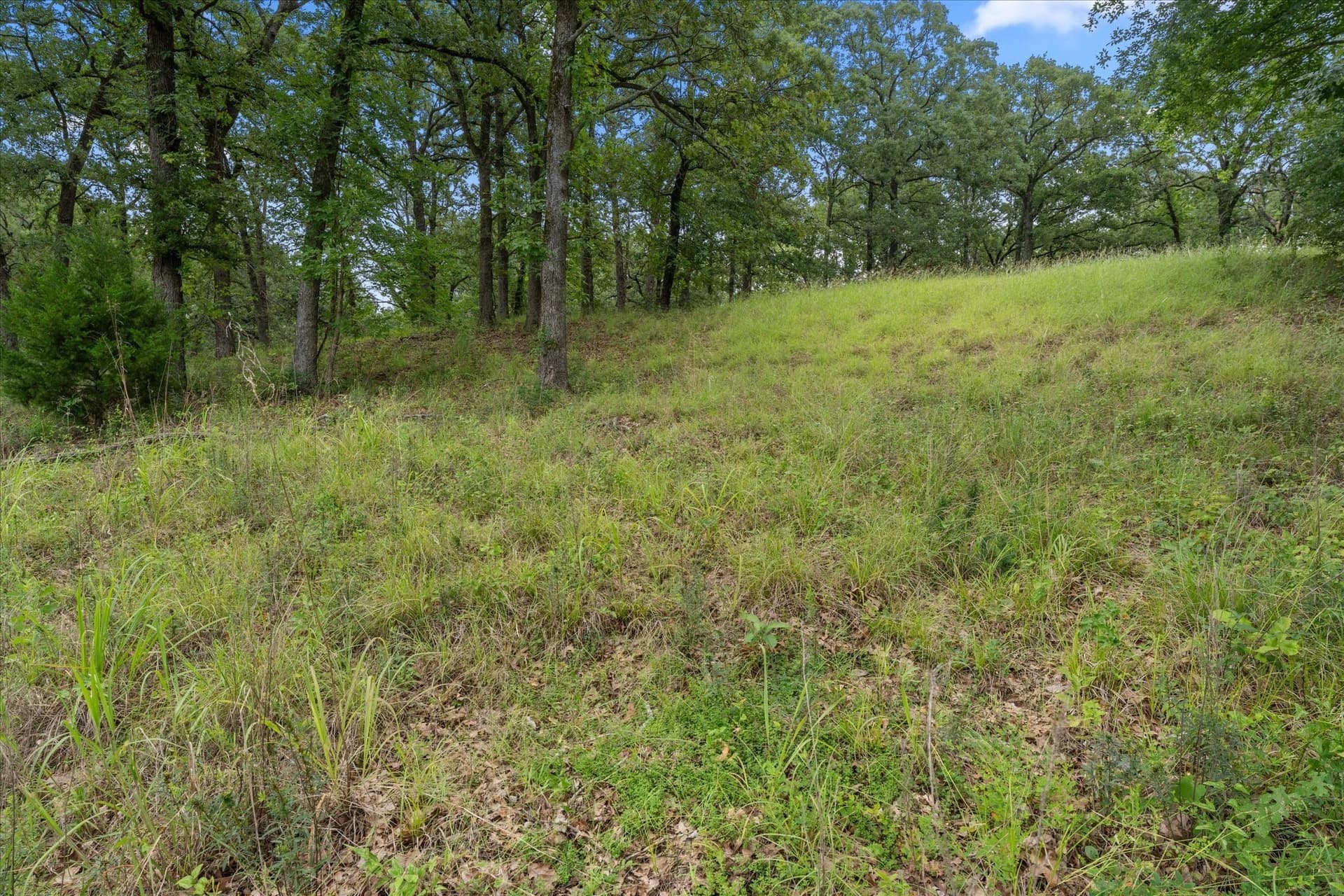 1.81 acres in Freestone County - photo 13
