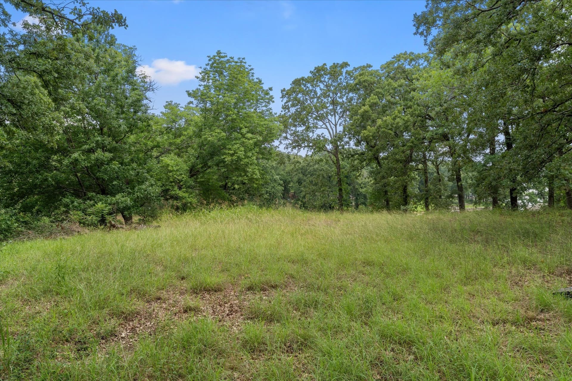 1.81 acres in Freestone County - photo 14