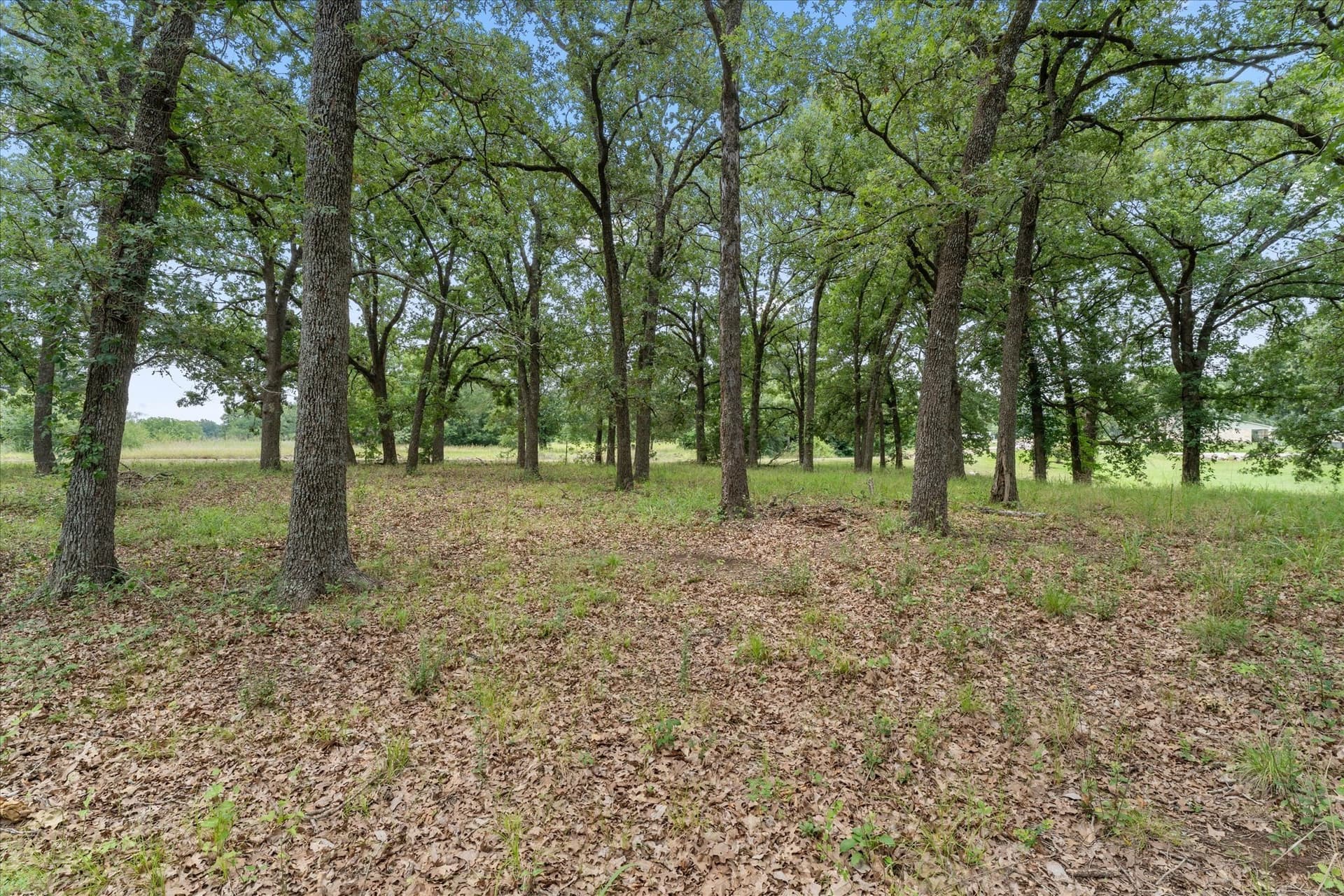 1.81 acres in Freestone County - photo 11
