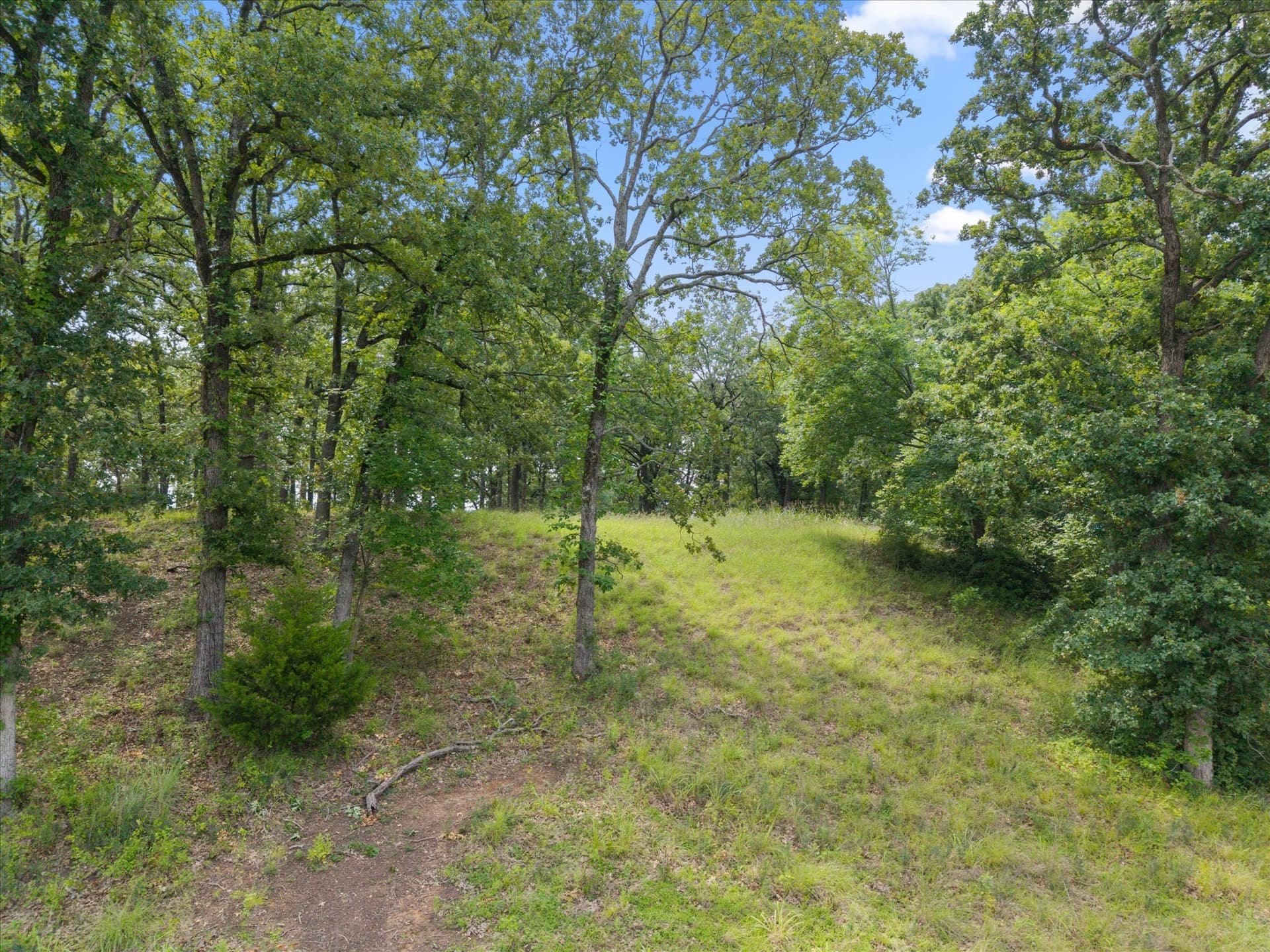 1.81 acres in Freestone County - photo 21