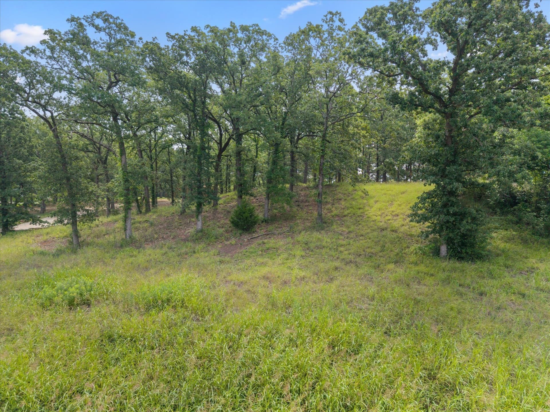1.81 acres in Freestone County - photo 22