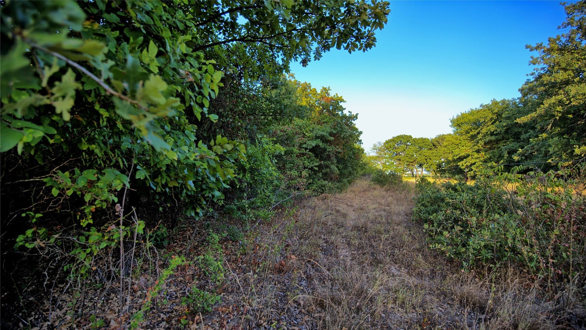5 acres in Montague County - photo 11