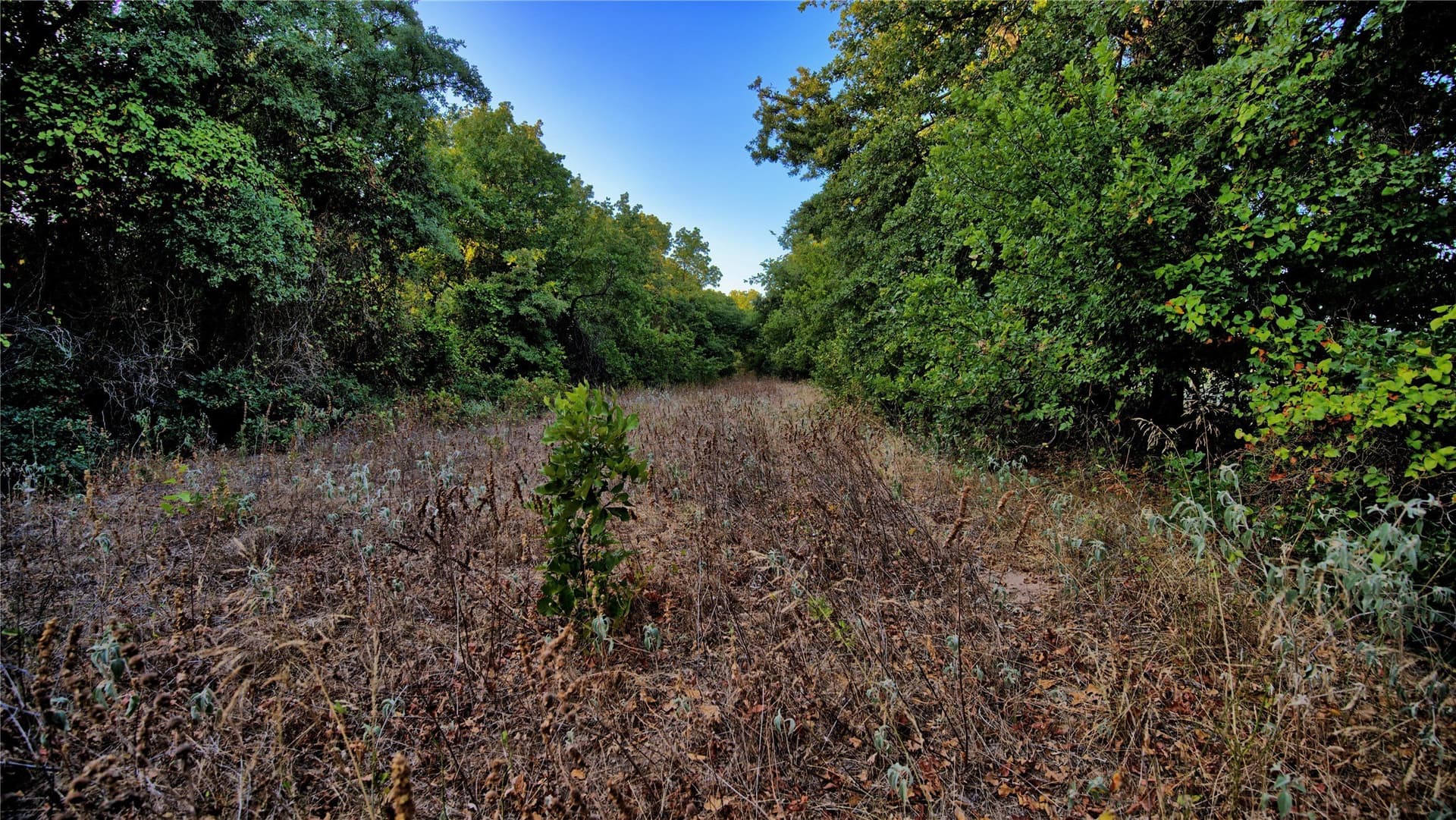 5 acres in Montague County - photo 13