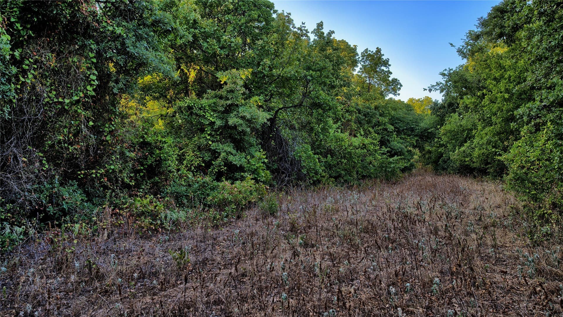 5 acres in Montague County - photo 2