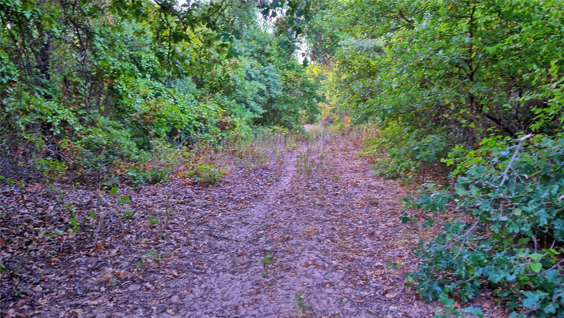 5 acres in Montague County - photo 8