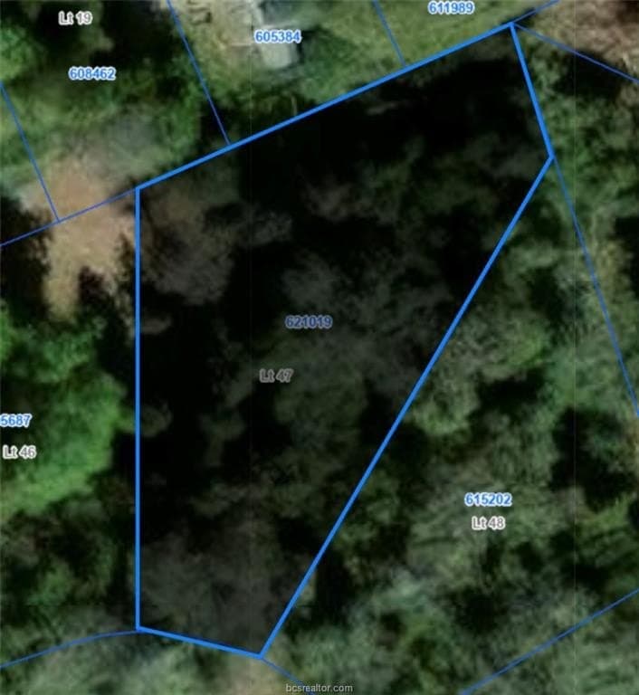 0.39 acres in Leon County featured view