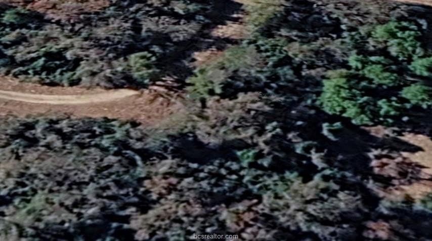 0.39 acres in Leon County gallery image 2