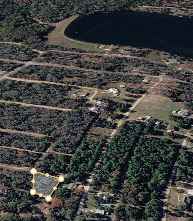 0.39 acres in Leon County gallery image 3