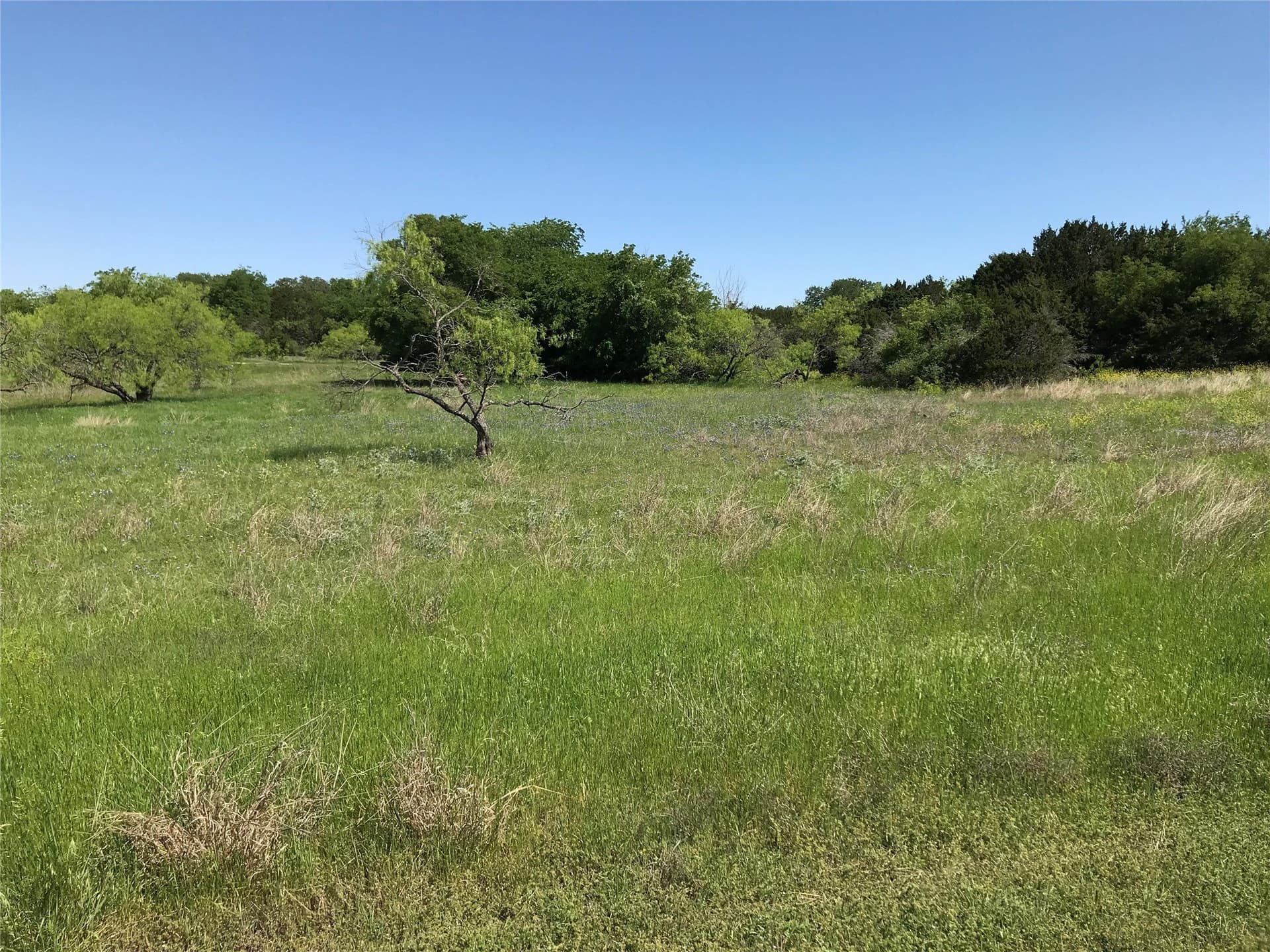 0.26 acres in Hill County gallery image 3