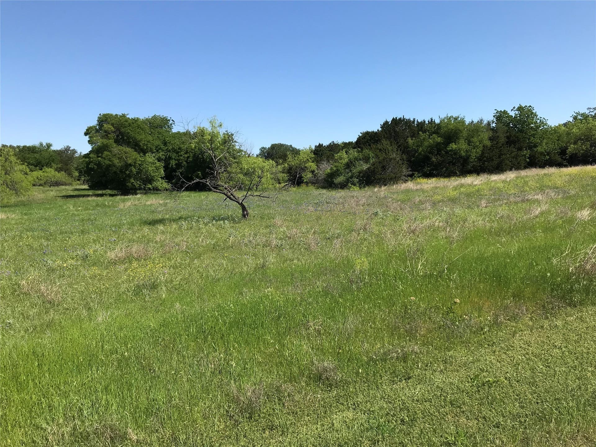 0.26 acres in Hill County featured view