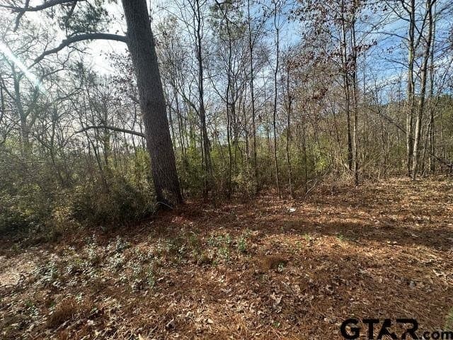 2.1 acres in Nacogdoches County gallery image 3