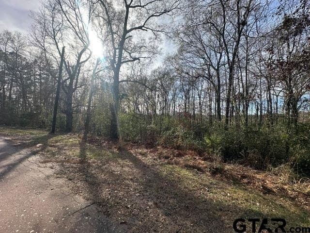 2.1 acres in Nacogdoches County gallery image 4