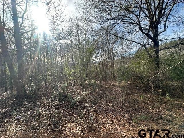 2.1 acres in Nacogdoches County gallery image 2