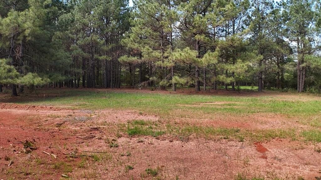 9.62 acres in Texas County - photo 15