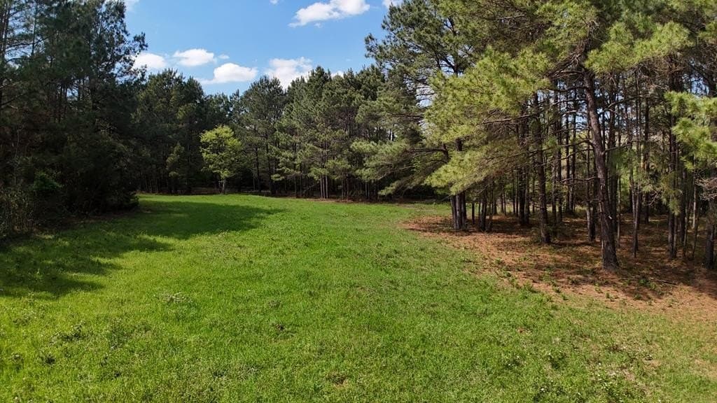 9.62 acres in Texas County - photo 19