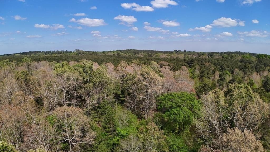 9.62 acres in Texas County - photo 20