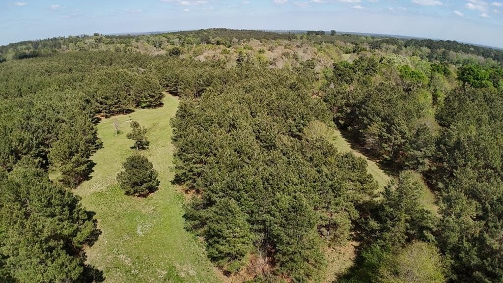 9.62 acres in Texas County - photo 16