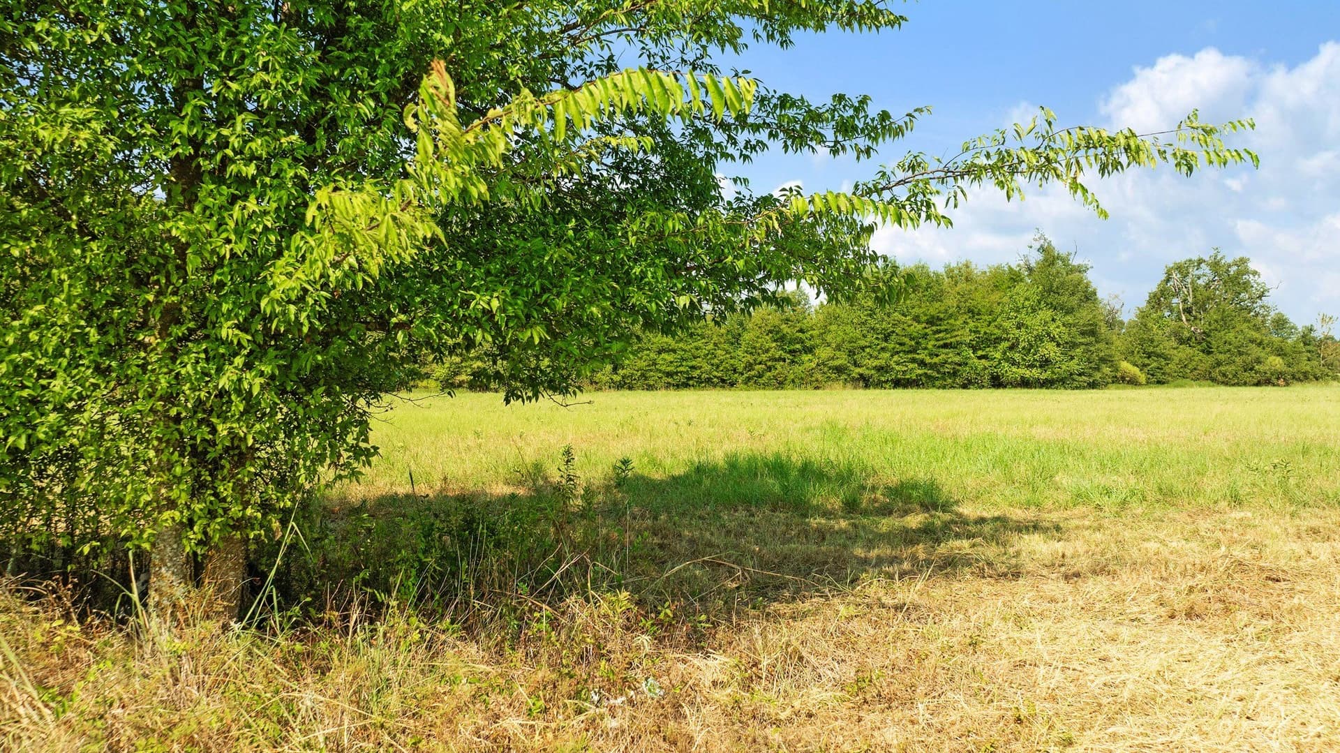 25.12 acres in Red River (TX) County - photo 14