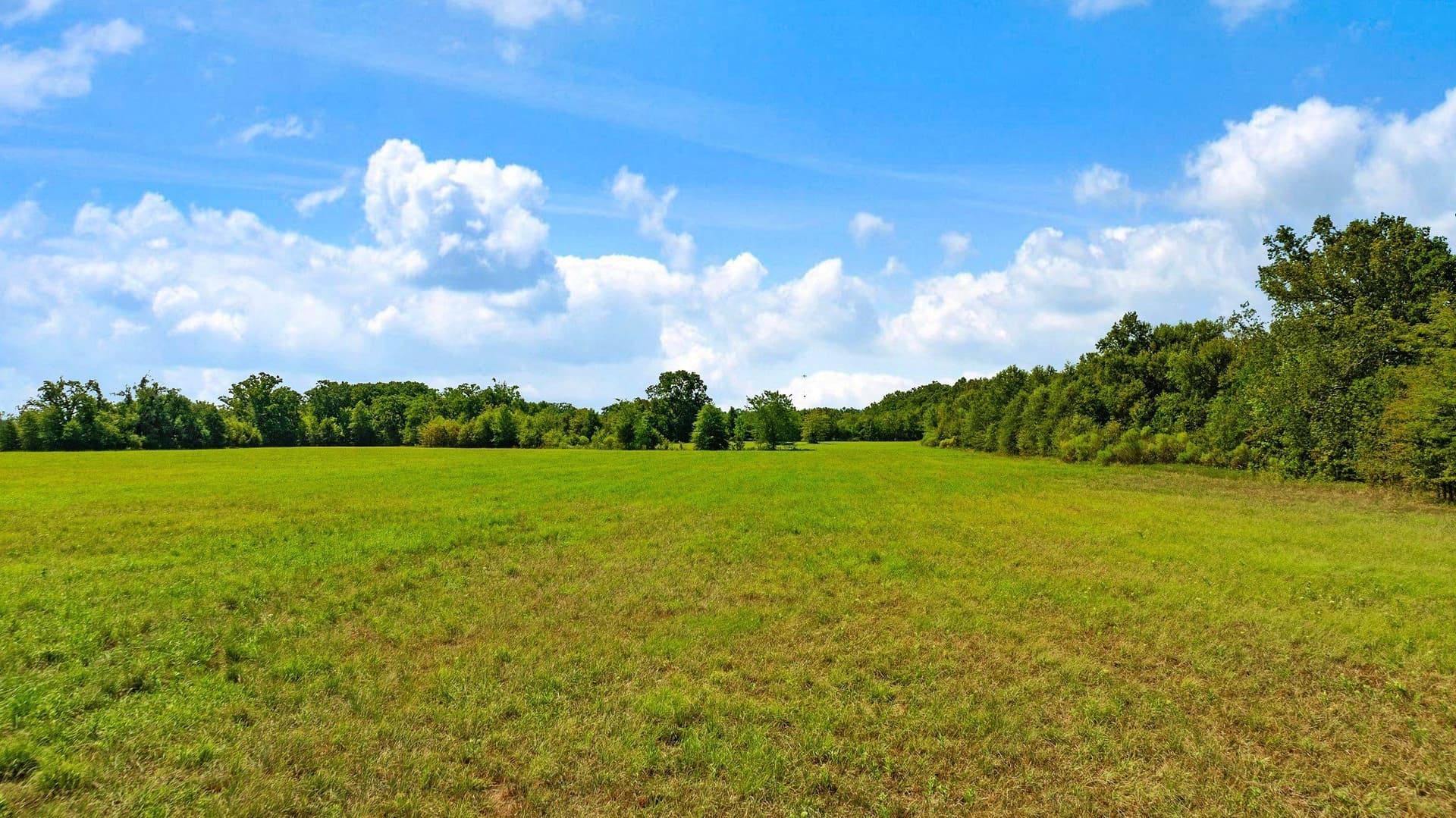 25.12 acres in Red River (TX) County - photo 9