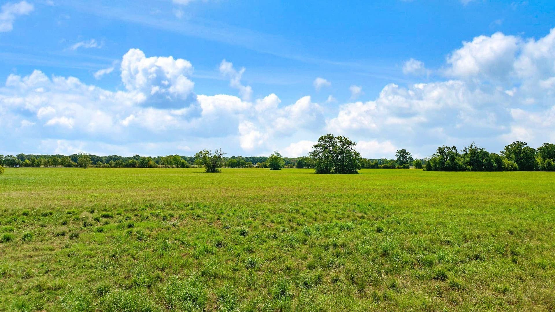 25.12 acres in Red River (TX) County - photo 10
