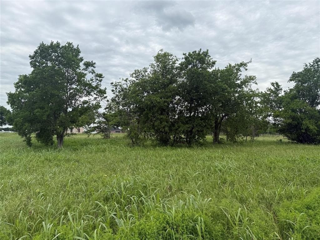 4.84 acres in Denton County gallery image 2