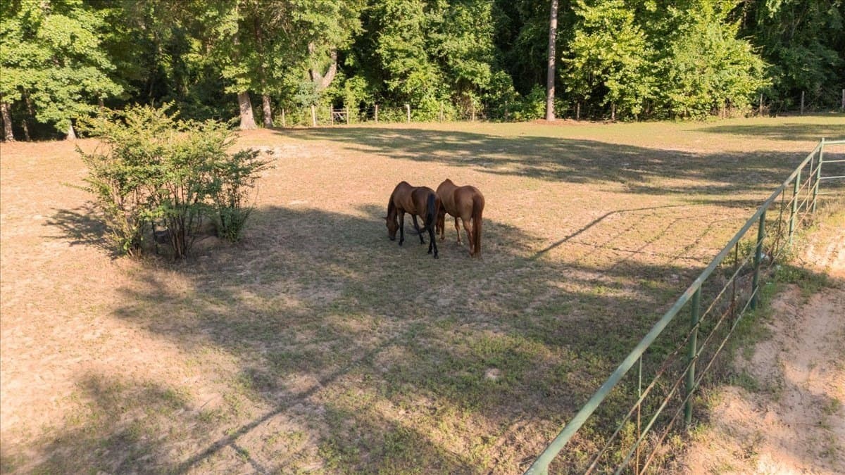 11.2 acres in Smith County - photo 39