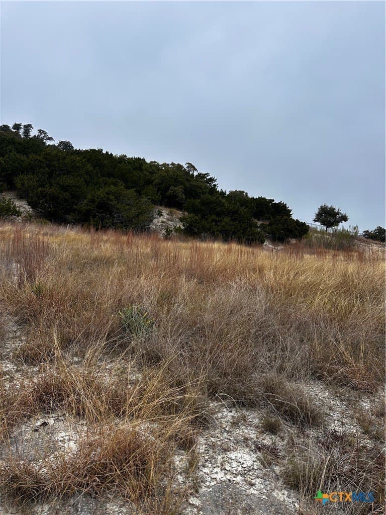 1.2 acres in Bell County gallery image 3