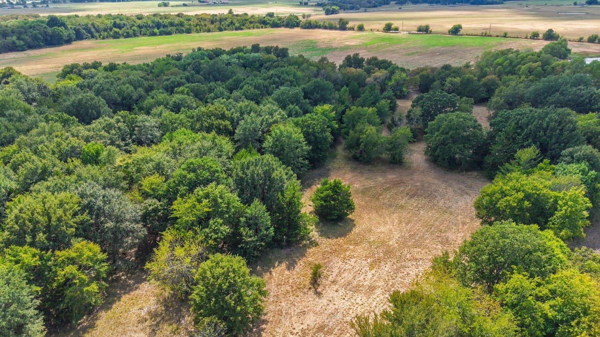 100 acres in Hunt County - photo 12