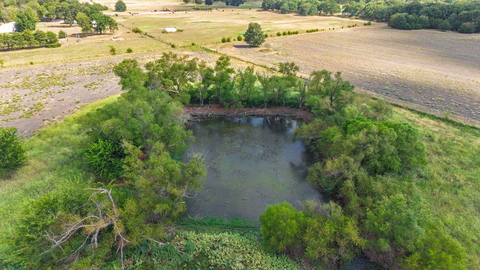 100 acres in Hunt County - photo 16