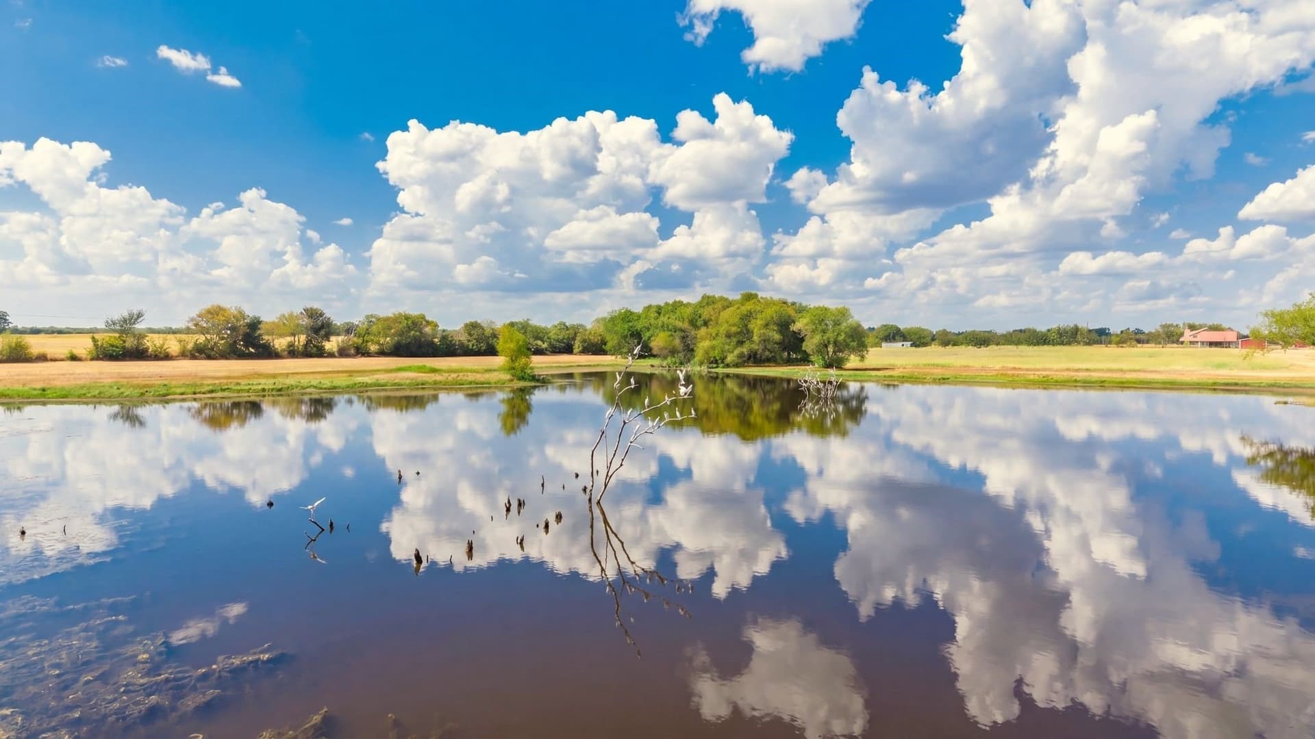 100 acres in Hunt County - photo 19