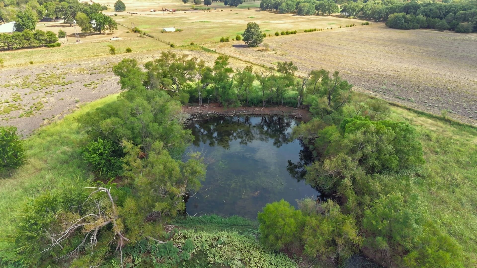 100 acres in Hunt County - photo 20