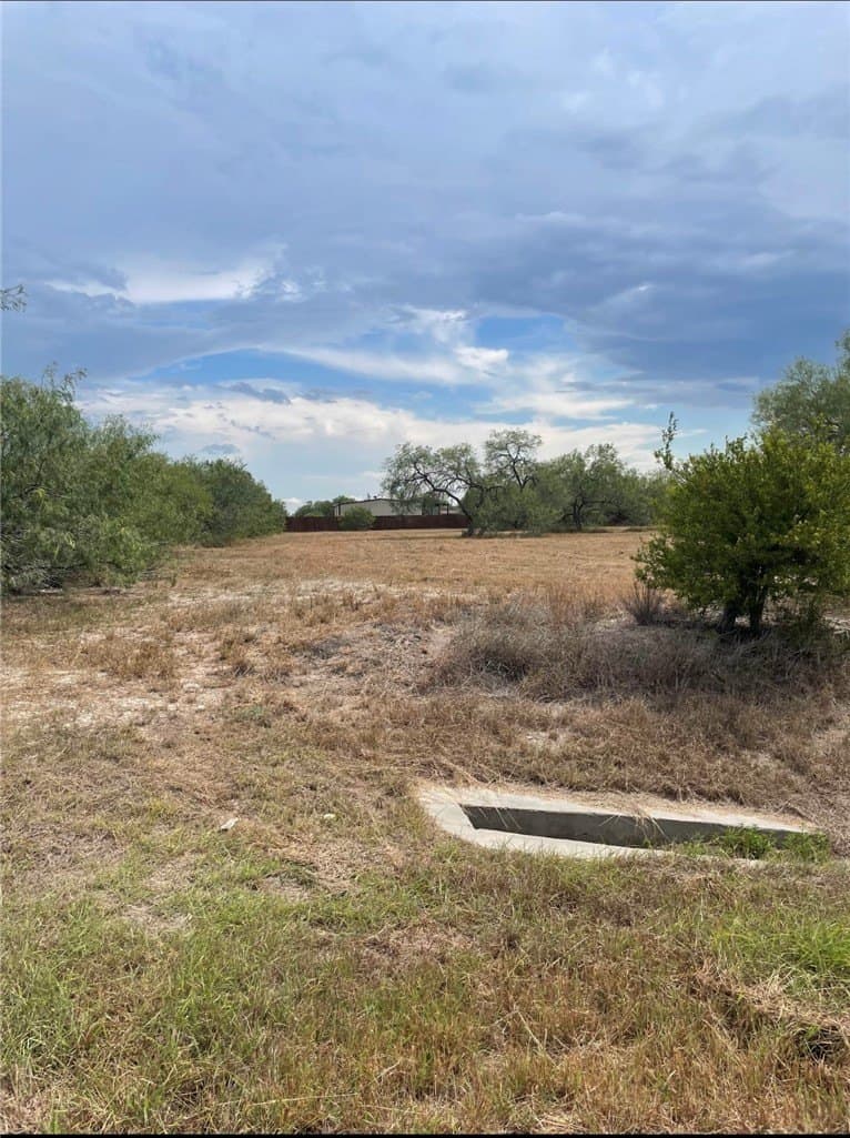 1 acres in Jim Wells County gallery image 2