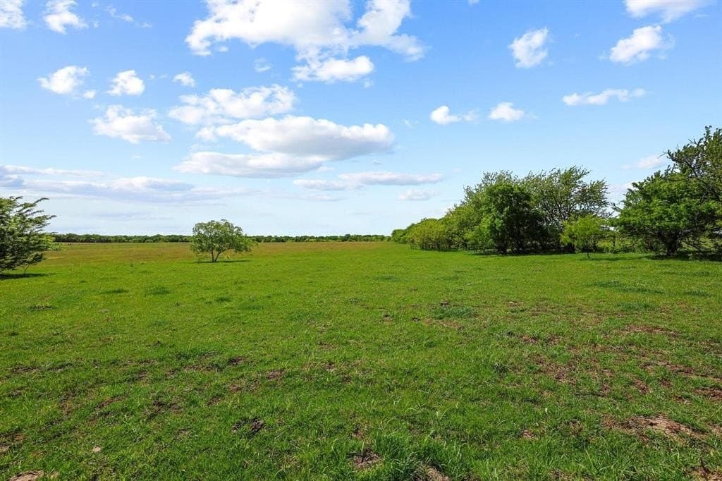 15.87 acres in Grayson County gallery image 4