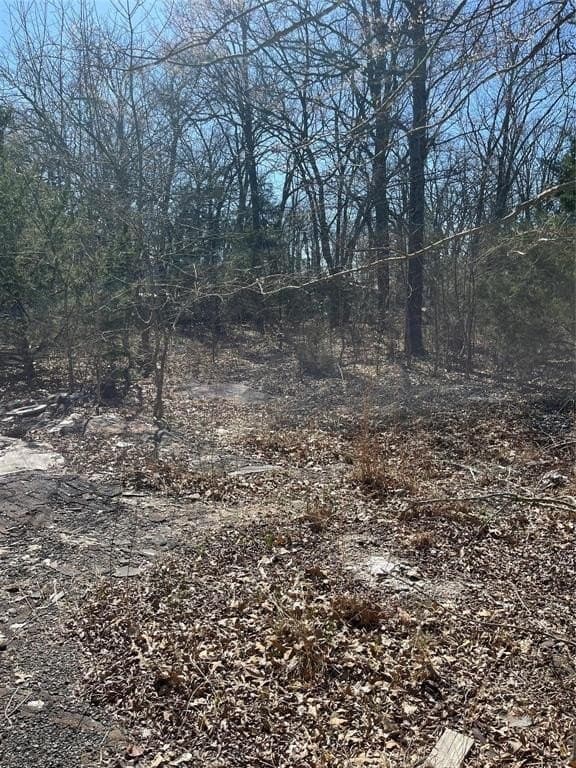 0.39 acres in Hunt County gallery image 3