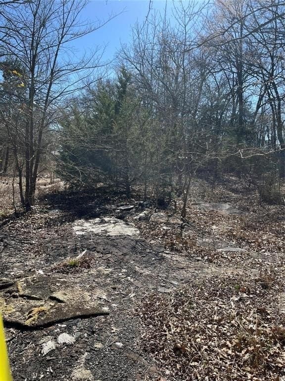 0.39 acres in Hunt County gallery image 4