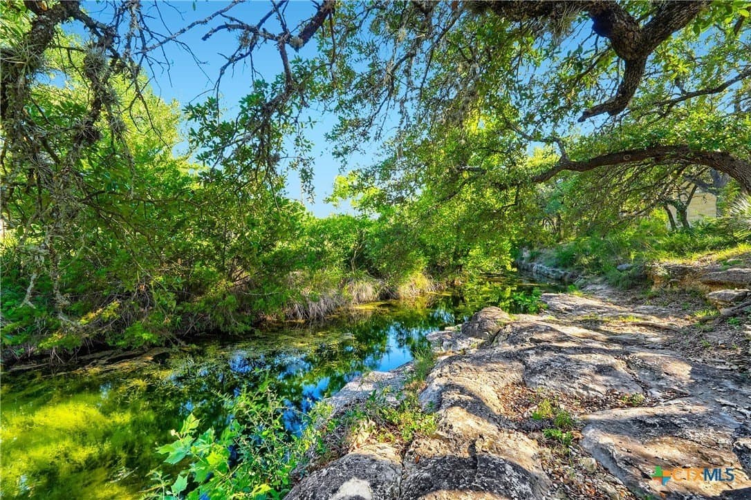 18.14 acres in Hays County - photo 37