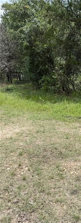 88.49 acres in Burleson County gallery image 2