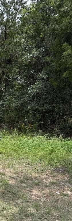 88.49 acres in Burleson County gallery image 3