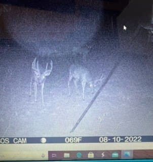 94.35 acres in Comanche County - photo 19
