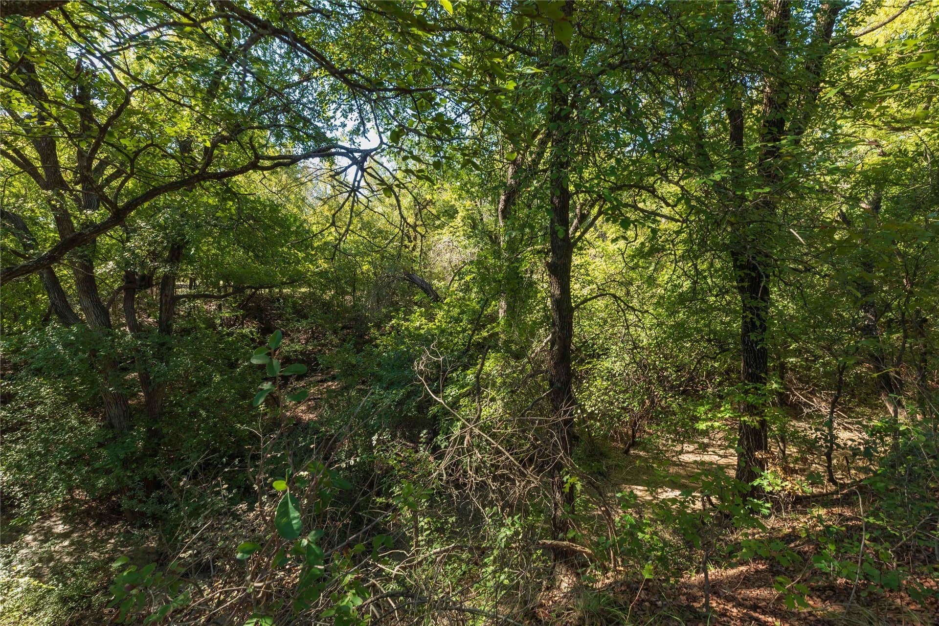 94.35 acres in Comanche County - photo 12