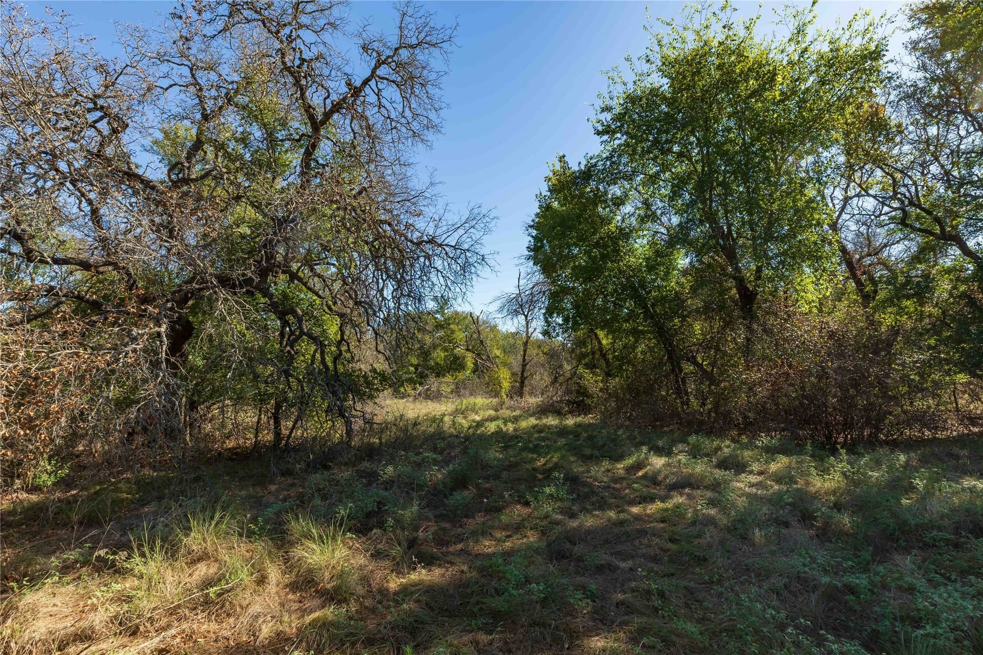 94.35 acres in Comanche County - photo 8