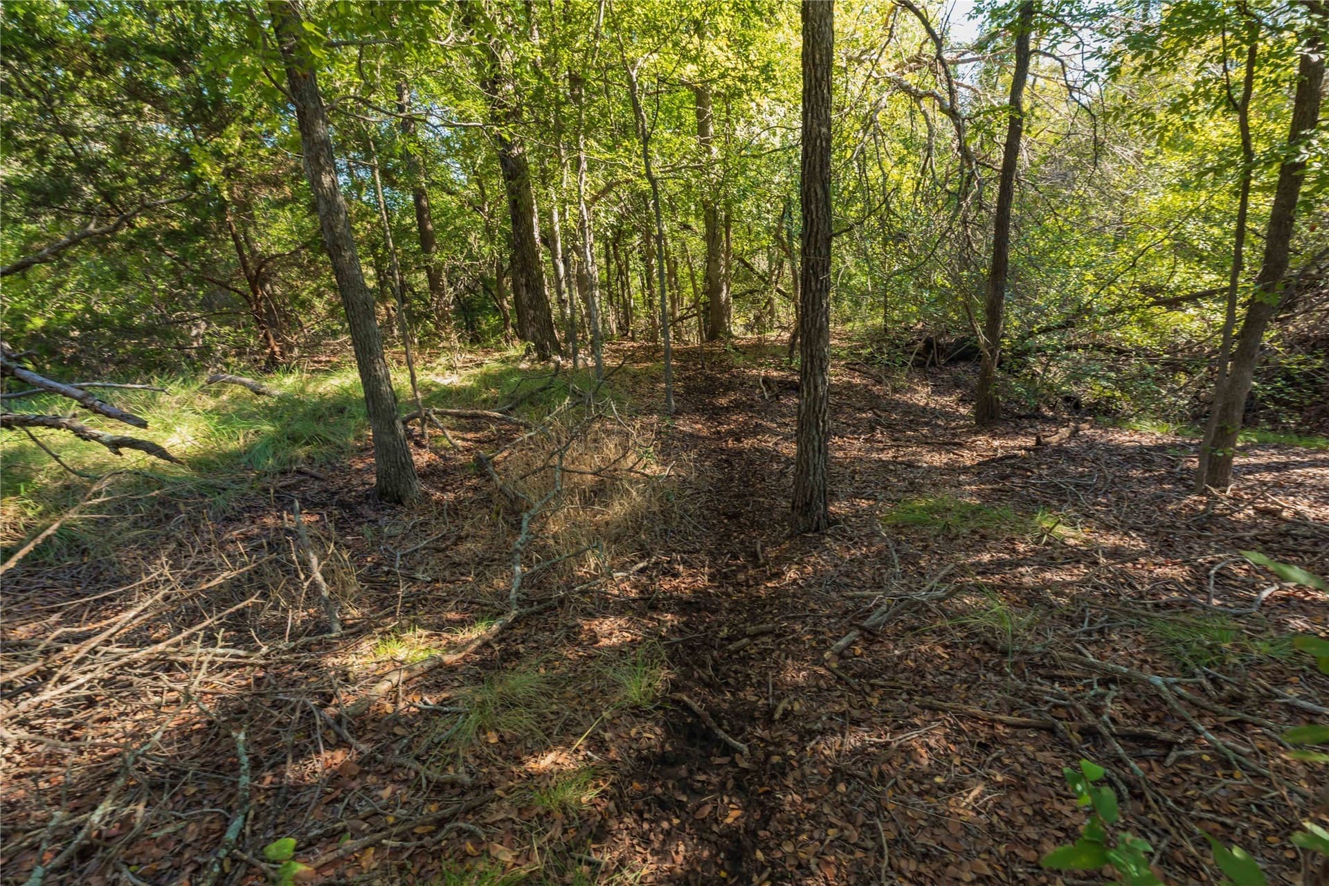 94.35 acres in Comanche County - photo 4