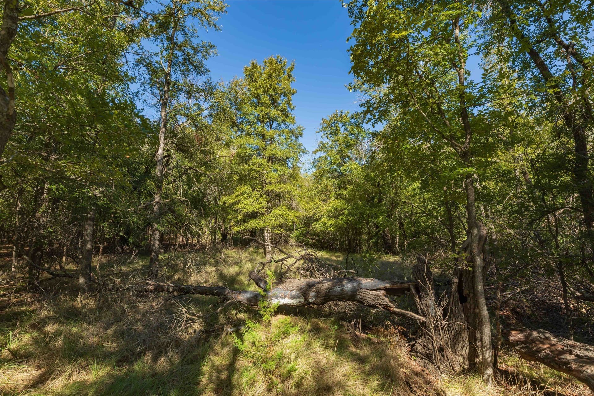 94.35 acres in Comanche County - photo 6