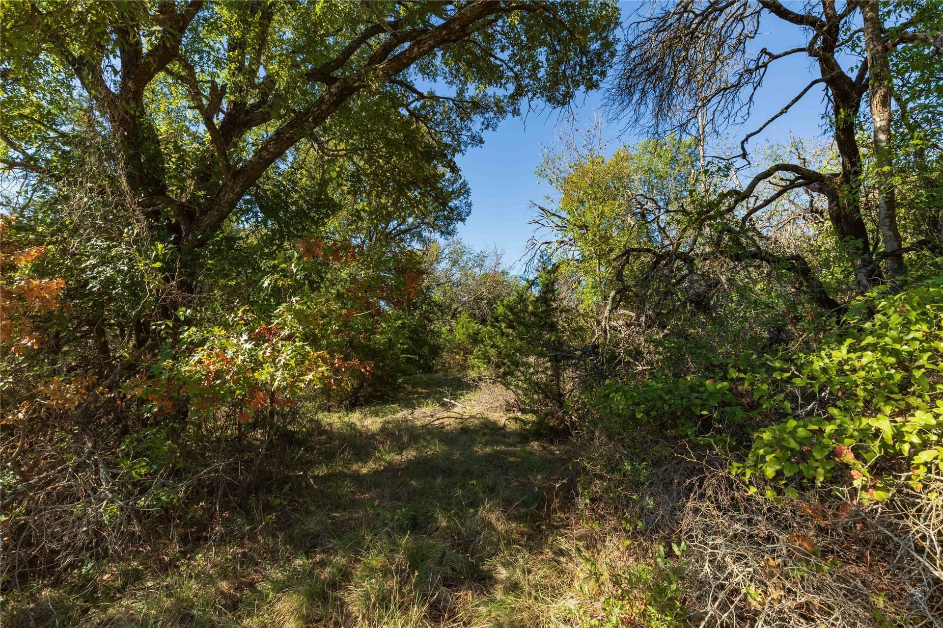 94.35 acres in Comanche County - photo 34