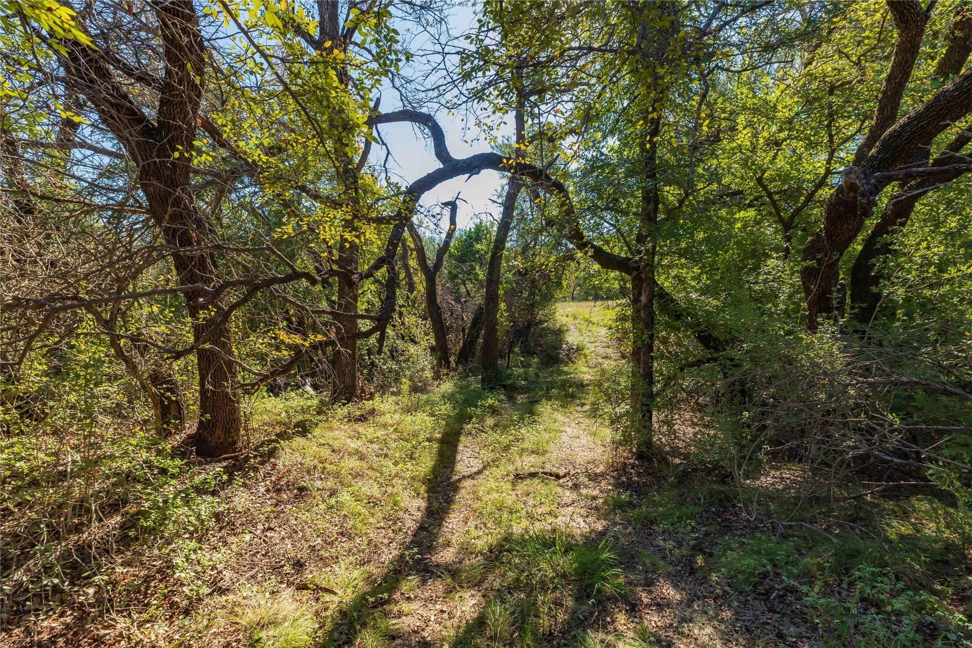94.35 acres in Comanche County - photo 38