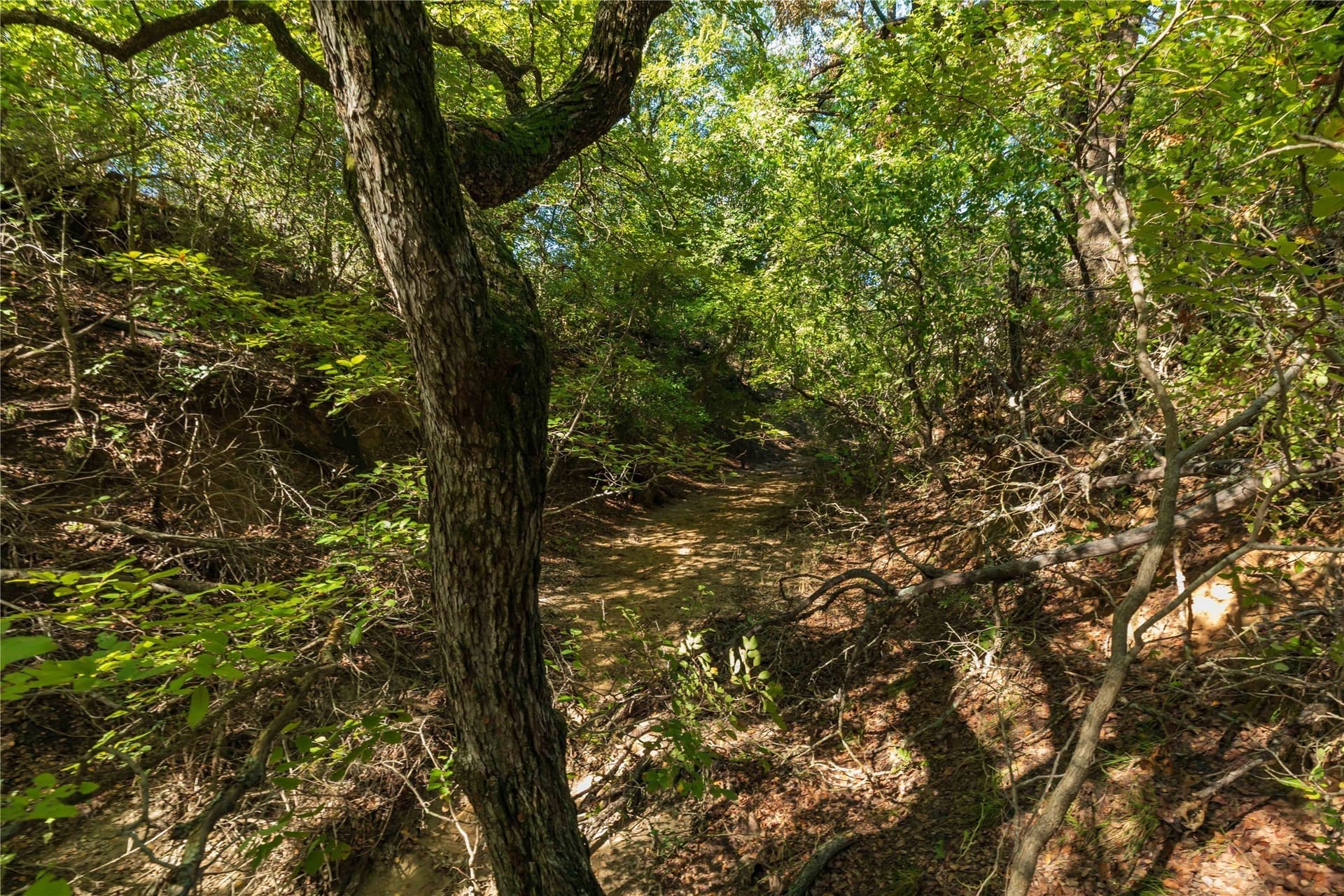 94.35 acres in Comanche County - photo 13