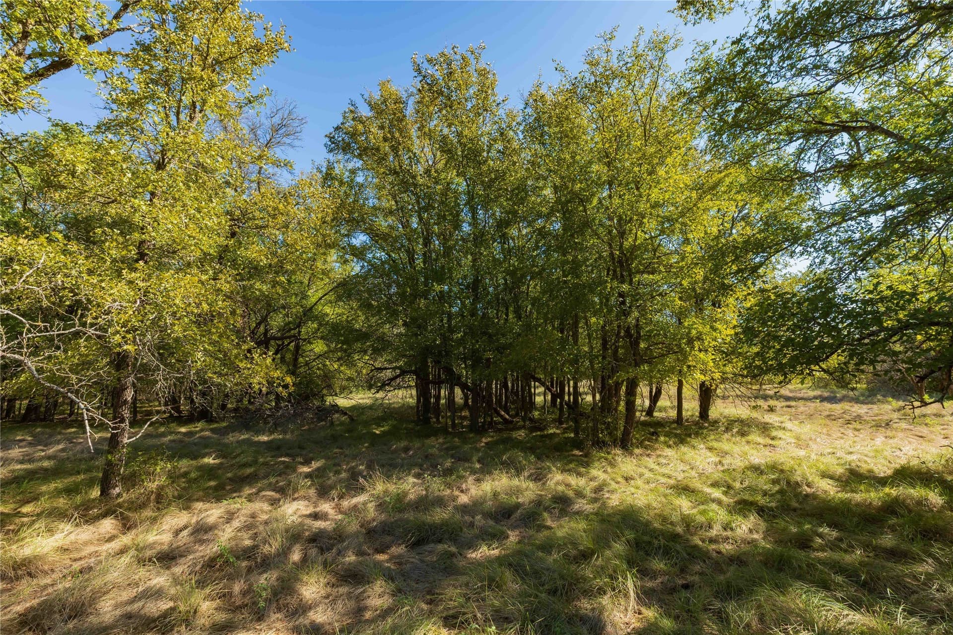 94.35 acres in Comanche County - photo 37